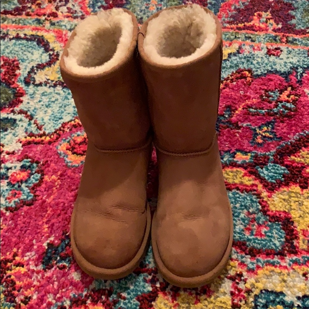 Short Tan Uggs